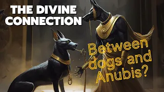 Anubis: The Divine Connection Between Dogs and Egypt