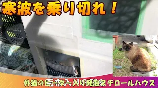 【大寒波を乗り切れ！地域猫の冬の温か発泡スチロールハウス】地域猫ちゃんの為のハウスです。#野良猫 #地域猫 #外猫ハウス