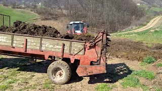 Razbacivanje đubriva| Steyr 9094 , Massey Ferguson 3050 Zetor 6045