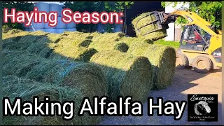 Haying Season: Making Alfalfa Hay/June 25, 2022