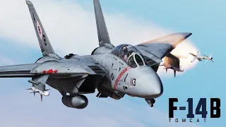 Стрим DCS World - Встречаем F-14 Tomcat "Добро пожаловать обратно, детка!" (18+ мат)