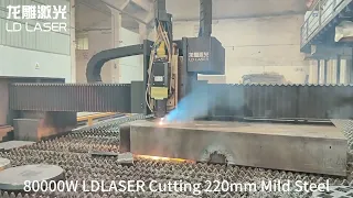 Ultra high power laser machine LDLASER 80000W Laser Cutter for Stainless Steel Fabrication--No.49