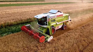 ✔PIERWSZE ŻNIWA NOWYM NABYTKIEM ✔  CLAAS MEGA 208 ☆  GR CZARNOCKI ☆