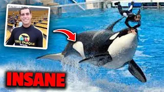 The Terrifying Last Minutes Of Orca Trainer Alexis Martinez