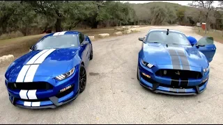 2019 Shelby GT350 Chasing 2017 Shelby GT350 Ford Mustang
