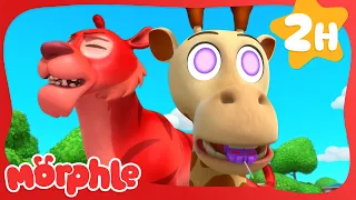 Animal Hypno Mixup 😵‍💫 | Mila and Morphle 🔴 Morphle 3D | Cartoons for Kids