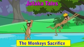 Jataka Tales in Hindi | Monkey Kings Sacrifice | Hindi Jatak Kathayen HD