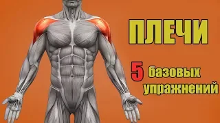 ПЛЕЧИ. 5 БАЗОВЫХ УПРАЖНЕНИЙ. + ОШИБКИ УБИВАЮЩИЕ ПРОГРЕСС!