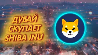 SHIBA INU: ЗАХВАТЫВАЕТ РЫНОК ОАЭ И ВСЕГО ВОСТОКА!/ 100 ЛИСТИНГОВ У ШИБЫ!