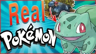 5 REAL LIFE Animals That Were Inspired by Pokémon!