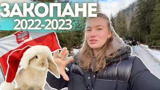 ВЛОГ| мой первый Новый год 2023 в Польше, Рождественский хайкинг в Закопаны