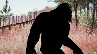 Oklahoma Bigfoot in Cleveland County