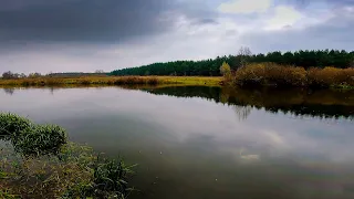 Большая рыбалка/Рыбалка в гродненской области, баня, река Неман, дом, шашлыки/рыбалка в Беларуси