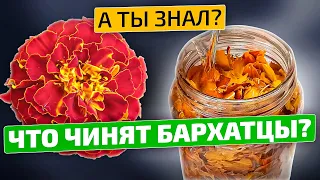 Вы АХНЕТЕ от того, что творят БАРХАТЦЫ!