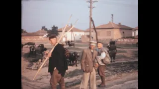 Bulgaria 1960 archive footage
