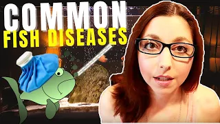 5 Common Fish Diseases And How To Spot And Treat Them