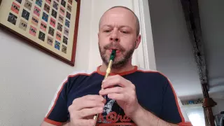 The Swallowtail Jig - Tin Whistle