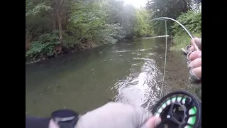 HUGE trout on the swing - Washington State near Seattle