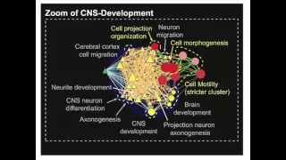 Introduction to Pathway and Network Analysis of Gene Lists