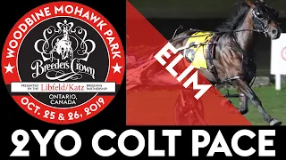 2019 Breeders Crown Elim - Papi Rob Hanover - 2YO Colt Pace