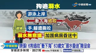 游泳上岸竟遭"6狗追咬"! 63歲女嚇到"溺水昏迷"│中視新聞 20240522