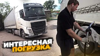 СКАНДАЛ В ДУШЕ🤦🏼‍♂️ ЖЕСТОКАЯ ПОГРУЗКА, НАСТОЯЩАЯ ШТОРНАЯ РОМАНТИКА...