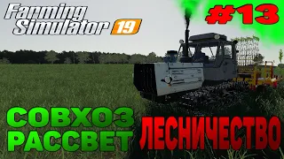 Совхоз рассвет ЛЕСНИЧЕСТВО / ДЕРЕВЬЯ Farming Simulator 19 прохождение #13 CoursePlay Autodrive FS 19