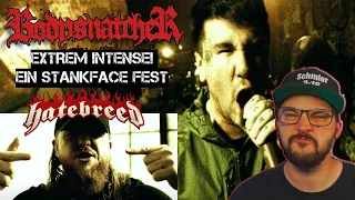 BODYSNATCHER und HATEBREED = STANKFACE ohne Ende! | Schmier reagiert auf MURDER8 | REACTION