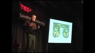 Fusion Energy: Utopian or Practical?: Andrew Zwicker at TEDxSaintPetersUniversity