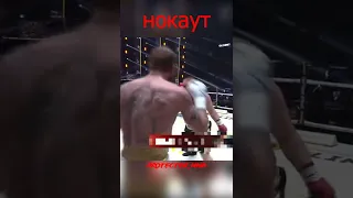 Дацик vs Емельяненко - НОКАУТ #мма #бой #нокаут #mma