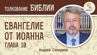 Евангелие от Иоанна. Глава 10. Андрей Солодков. Новый Завет