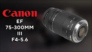 Объектив Canon EF 75-300 III Бюджетный телевик