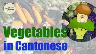 Learn Chinese. Vegetables in Chinese. Vegetables in Cantonese - 蔬菜 - 粵語