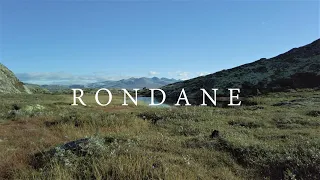 Rondane Nationalpark - Trekking | Wild Camping and Solo Hiking in Norway National Park | 4K