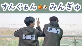 【ギュブ集】ギュブ総まとめ🐶🍊［SEVENTEEN/セブチ/세븐틴］