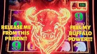 Buffalo Link 🦬 Release your Buffalo Power!!!
