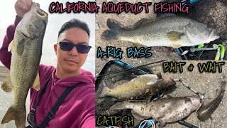 California Aqueduct Fishing 2023 - A-RIG - BAIT & WAIT ACTION - BASS & CATFISHES