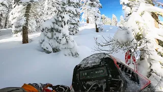 Bluebird powder on the 2023 Lynx Shredder RE Turbo R 3900.  This sled does it all, asks for more...