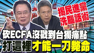 砍ECFA沒打到民進黨痛點 蔡正元揭綠洗腦話術"你還得叫他爺爺" 謝寒冰:等大陸對台灣心灰意冷 時機到了自然解決