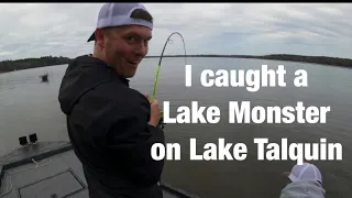 While Crappie Fishing I caught a Lake Monster on Lake Talquin
