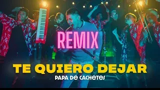 Te Quiero Dejar (i Want To Leave You) [ Remix]