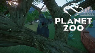Planet Zoo S2 E4 - Вольер для Коал