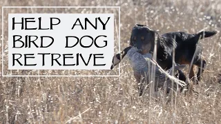 How To Train A Bird Dog That Won’t Retrieve - YAWA Dog Training Podcast: Episode 39 Question 4