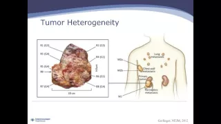 Lincoln Nadauld The Clinical and Economic Impact of Precision Cancer Medicine