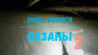 Подводная охота - Ночь, коряги, сазаны 2