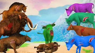 10 Zombie Cows vs Giant Bull Fight Baby Bull Saved By 5 Woolly Mammoths Cow Cartoon Animal Fights
