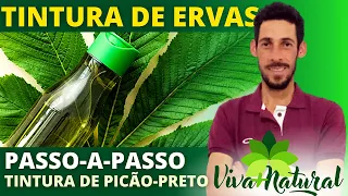 Como fazer extrato ou tintura de Picão-preto (Bidens pilosa) - parte 1 extrato de ervas medicinais