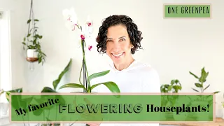 My FAVORITE flowering houseplants!