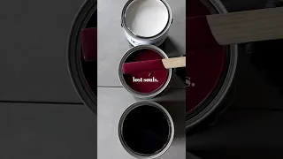 Best paint colors to pair with black & white?