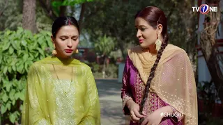 Ghughi | Episode 12 | TV One | Mega Drama Serial